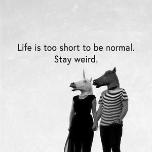 Meet your Posher, Celso